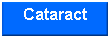Text Box: Cataract